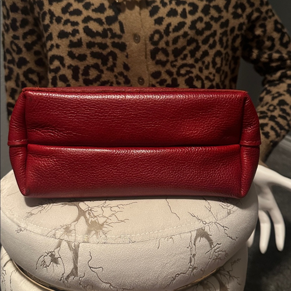 PLG mini chili 🌶️ crossbody bag with zipper and card holder - Picture 10 of 12